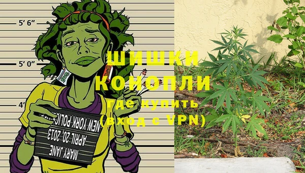 шишки Наволоки