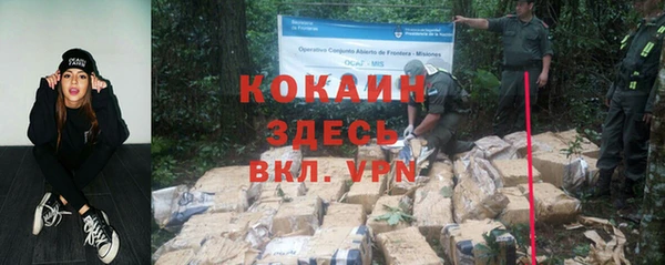шишки Наволоки