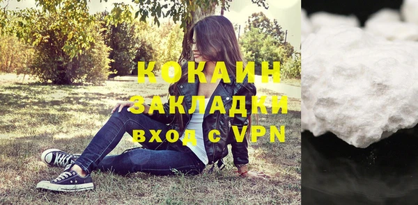 шишки Наволоки
