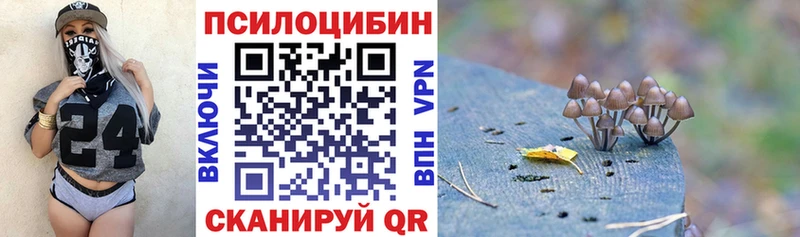 Псилоцибиновые грибы прущие грибы  купить   Новозыбков 
